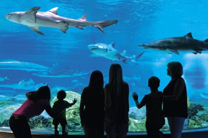 best aquariums in the us